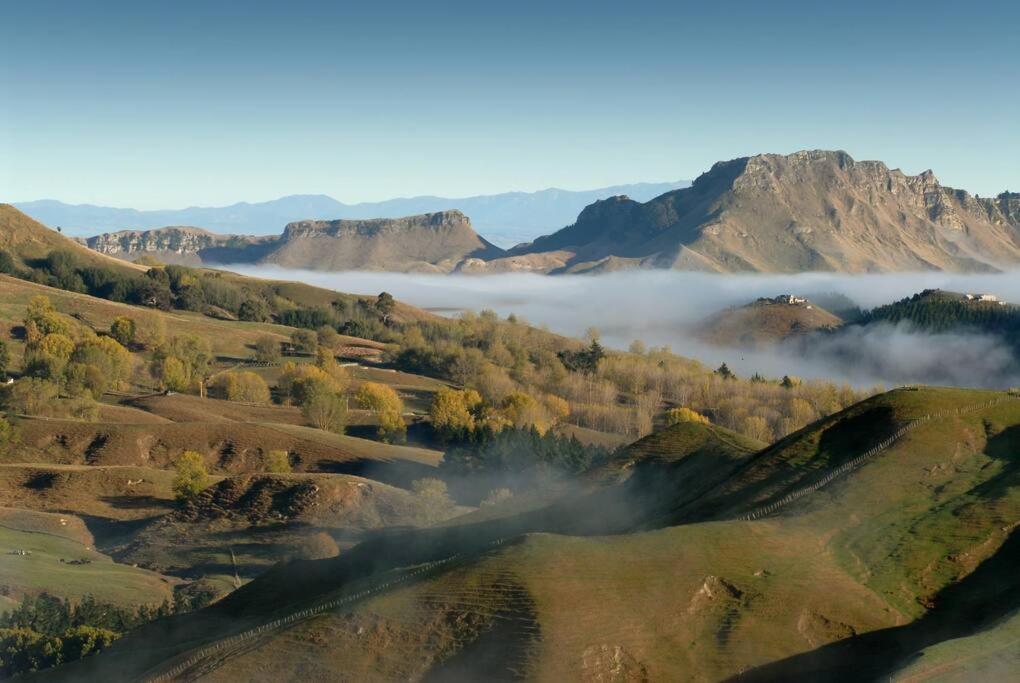Cape South Estate - International Award-Winning Country Estate With Pacific Views Havelock North Eksteriør bilde