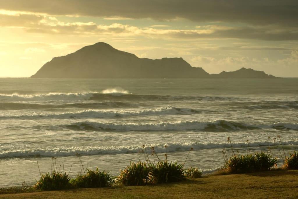 Cape South Estate - International Award-Winning Country Estate With Pacific Views Havelock North Eksteriør bilde