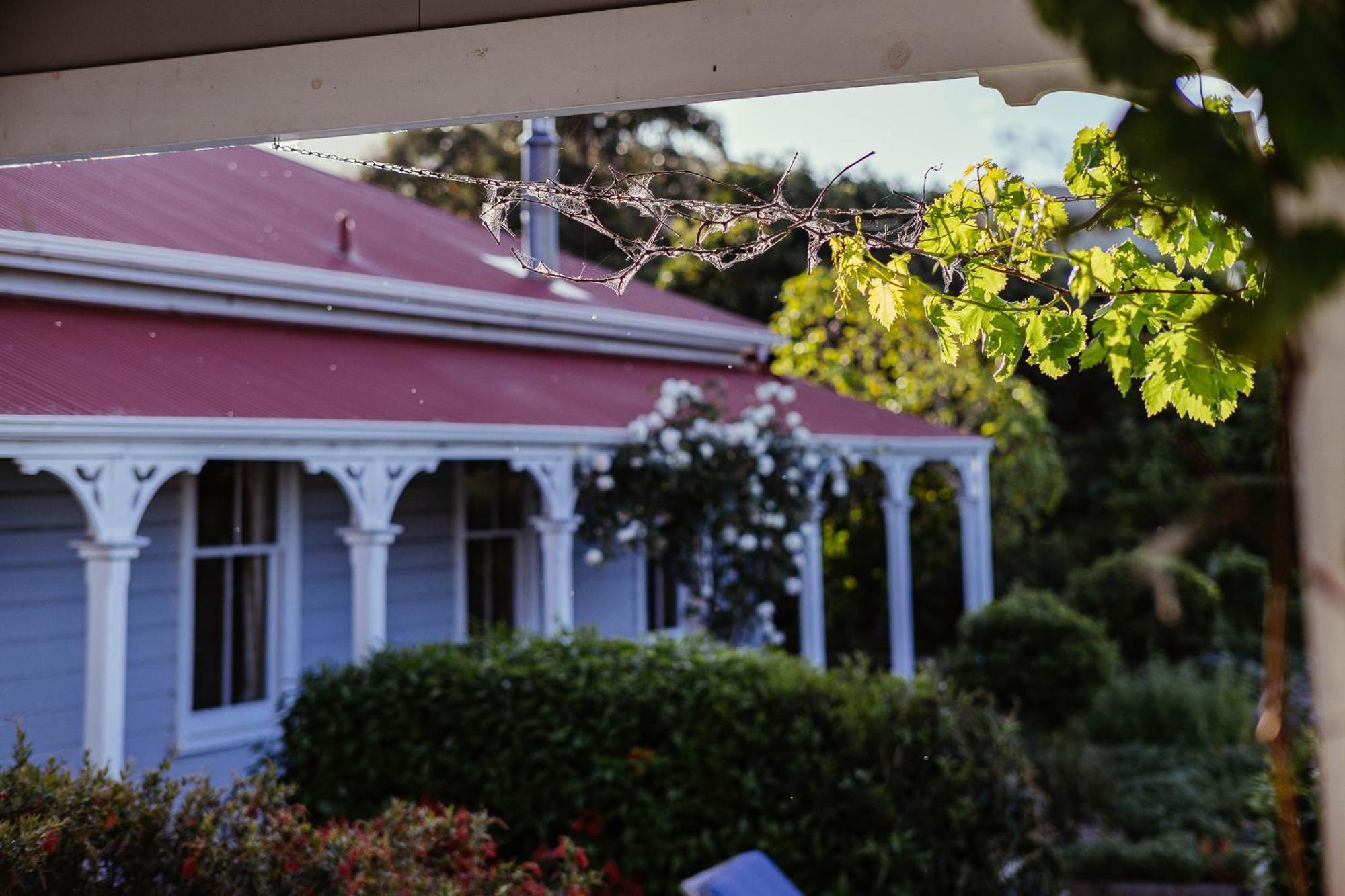 Cape South Estate - International Award-Winning Country Estate With Pacific Views Havelock North Eksteriør bilde